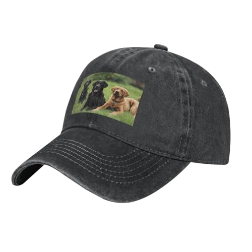 YYHWHJDE Schwarzer Labrador Retriever-Hut für Erwachsene, klassischer Denim-Hut, bequem, leicht, Unisex, geeignet für Outdoor-Sport, Reisen, Schwarz, Einheitsgröße von YYHWHJDE