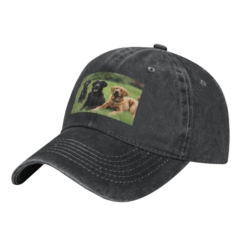 YYHWHJDE Schwarzer Labrador Retriever-Hut für Erwachsene, klassischer Denim-Hut, bequem, leicht, Unisex, geeignet für Outdoor-Sport, Reisen, Schwarz, Einheitsgröße YYHWHJDE Schwarzer Labrador Retriever-Hut für Erwachsene, klassischer Denim-Hut, bequem, leicht, Unisex, geeignet für Outdoor-Sport, Reisen, Schwarz, Einheitsgröße von YYHWHJDE