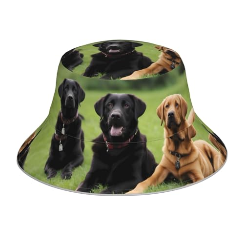 YYHWHJDE Wendbarer Fischerhut mit Labrador-Retriever-Hundemuster, Unisex, Schutz-Kopfbedeckung für Reisen und Outdoor-Aktivitäten, Schwarz, Schwarz, Einheitsgröße YYHWHJDE Wendbarer Fischerhut mit Labrador-Retriever-Hundemuster, Unisex, Schutz-Kopfbedeckung für Reisen und Outdoor-Aktivitäten, Schwarz, Schwarz, Einheitsgröße von YYHWHJDE