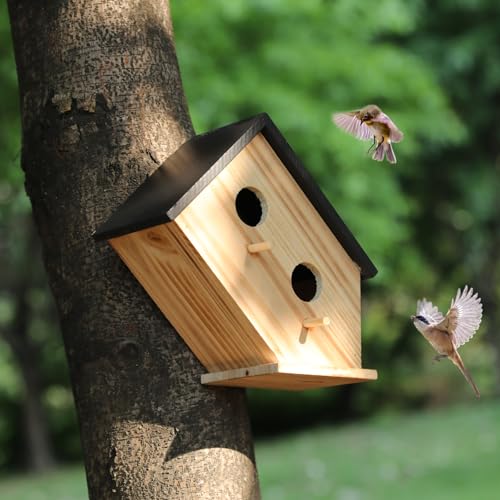 Vogelhaus für Draußen, Vogelhaus für draußen, Vogelhaus aus Holz, für den Außenbereich, hängendes Bluebird-Haus für Kardinäle für Gartenbeobachtung, 2 Löcher (Holz, 1) von YYYUAN