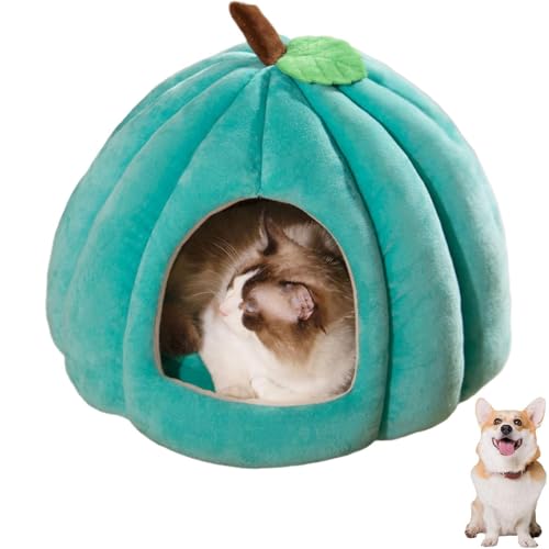 2025 Katzenhöhle in niedlicher Kürbisform, gemütliches Kürbis-Katzenbett mit abnehmbarem Kissen, warmes Höhlennest, Schlafbett für Indoor-Katzen und kleine Hunde, Halloween-Haustierzelt (Blau, L) 2025 Katzenhöhle in niedlicher Kürbisform, gemütliches Kürbis-Katzenbett mit abnehmbarem Kissen, warmes Höhlennest, Schlafbett für Indoor-Katzen und kleine Hunde, Halloween-Haustierzelt (Blau, L) von YZBBSH