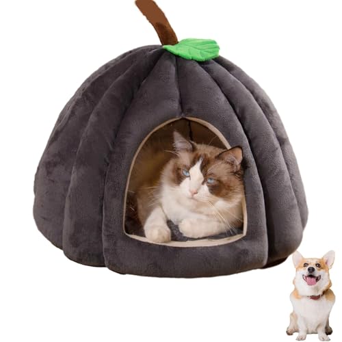 2025 Katzenhöhle in niedlicher Kürbisform, gemütliches Kürbis-Katzenbett mit abnehmbarem Kissen, warmes Höhlennest, Schlafbett für Indoor-Katzen und kleine Hunde, Halloween-Haustierzelt (Grau, M) 2025 Katzenhöhle in niedlicher Kürbisform, gemütliches Kürbis-Katzenbett mit abnehmbarem Kissen, warmes Höhlennest, Schlafbett für Indoor-Katzen und kleine Hunde, Halloween-Haustierzelt (Grau, M) von YZBBSH