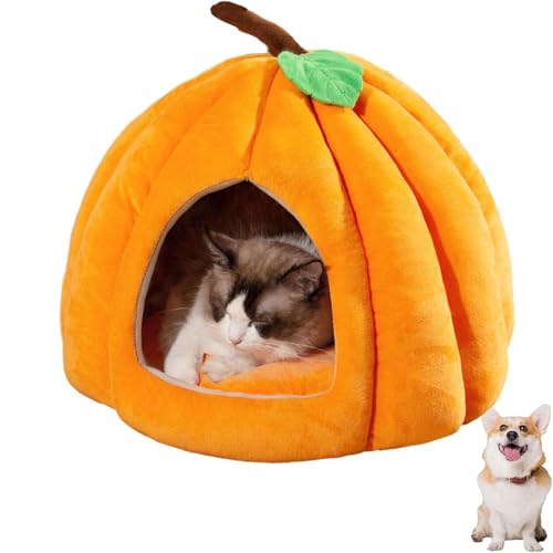 2025 Katzenhöhle in niedlicher Kürbisform, gemütliches Kürbis-Katzenbett mit abnehmbarem Kissen, warmes Höhlennest, Schlafbett für Indoor-Katzen und kleine Hunde, Halloween-Haustierzelt (Orange, M) 2025 Katzenhöhle in niedlicher Kürbisform, gemütliches Kürbis-Katzenbett mit abnehmbarem Kissen, warmes Höhlennest, Schlafbett für Indoor-Katzen und kleine Hunde, Halloween-Haustierzelt (Orange, M) von YZBBSH