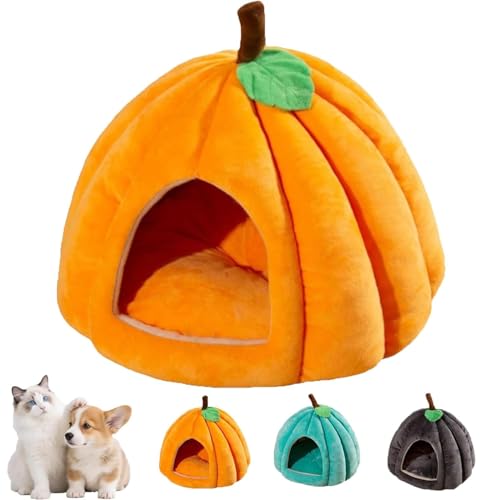 Halloween-Kürbis-Katzenbett, gemütliches Katzenhöhlenzelt mit abnehmbarem Kissen, niedliches Kürbis-Haustierhaus für Katzen, Kätzchen und kleine Hunde, Schlafnest für den Innenbereich (Orange, L) Halloween-Kürbis-Katzenbett, gemütliches Katzenhöhlenzelt mit abnehmbarem Kissen, niedliches Kürbis-Haustierhaus für Katzen, Kätzchen und kleine Hunde, Schlafnest für den Innenbereich (Orange, L) von YZBBSH
