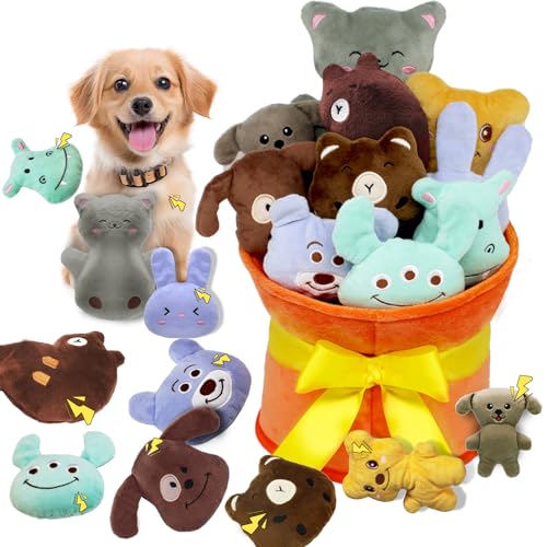 YZHDUXIU Quietschendes Hundespielzeug, 11 Stück, interaktives Hundespielzeug, Kollektion in Blumenstrauß-Verpackung, 10 entzückende Tierplüschtiere für endloses Spielen und Training von YZHDUXIU
