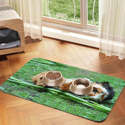 Meerschweinchen-Fressnapf-Matten, bedruckt, rutschfeste und geschmacksneutrale Futtermatten für Hunde und Katzen Meerschweinchen-Fressnapf-Matten, bedruckt, rutschfeste und geschmacksneutrale Futtermatten für Hunde und Katzen von YZHYWJFF