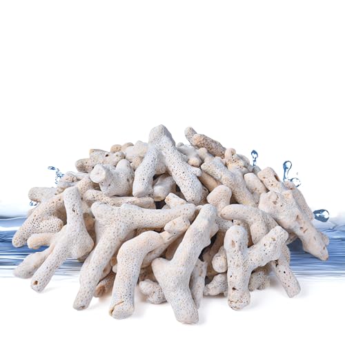 YZHZOM Crushed Coral für Süßwasser-Aquarium, zerkleinerte Korallen für Aquarien, zerkleinerte Korallen zur Erhöhung des pH-Wertes in Süßwasser-Aquarium-Filtermedien, 500 g von YZHZOM