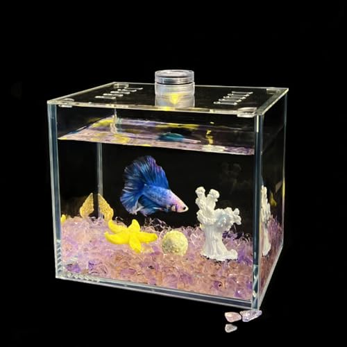 YZHZOM Kleines Betta-Fischbecken aus Glas, Mini-Kampffischbecken mit Abdeckung, kleines randloses Nano-Aquarium, kleines Glasaquarium, Garnelen-Tank (11,9 x 7,9 x 11,9 cm) von YZHZOM