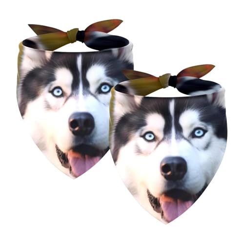 Hundehalstuch, Haustierzubehör für Hundeliebhaber, Haustierhalstuch, 2 Stück, Dschungelmuster, schwarzes Tiermuster, Hundeschal Hundehalstuch, Haustierzubehör für Hundeliebhaber, Haustierhalstuch, 2 Stück, Dschungelmuster, schwarzes Tiermuster, Hundeschal von YZUOUZY