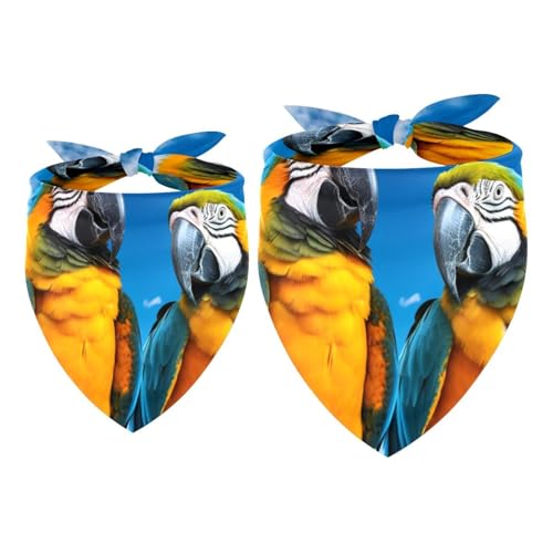 Hundehalstuch, Haustierzubehör für Hundeliebhaber, Haustierhalstuch, 2 Stück, blaue Prärie, Vogel, Papageien, Hundeschal Hundehalstuch, Haustierzubehör für Hundeliebhaber, Haustierhalstuch, 2 Stück, blaue Prärie, Vogel, Papageien, Hundeschal von YZUOUZY