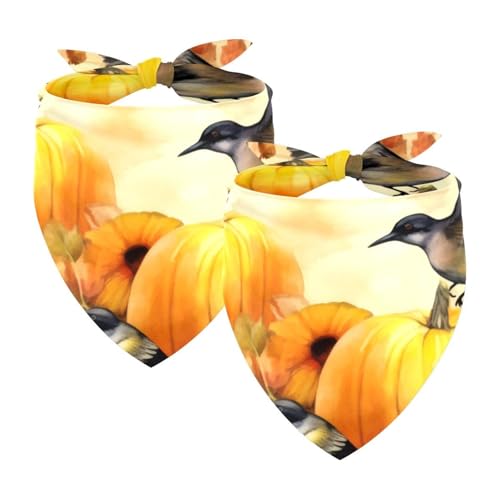 Hundehalstuch, Hochzeitsfoto-Requisite, quadratische Lätzchen, Haustierzubehör, 2 Stück, Vögel, Herbstblumen, Kürbisse, Hundeschal Hundehalstuch, Hochzeitsfoto-Requisite, quadratische Lätzchen, Haustierzubehör, 2 Stück, Vögel, Herbstblumen, Kürbisse, Hundeschal von YZUOUZY