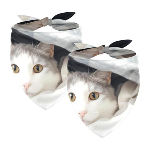 Hundehalstuch, Hochzeitsfoto-Requisite, quadratisches Lätzchen, Haustierzubehör, 2 Stück, Decke und Katze, Hundeschal Hundehalstuch, Hochzeitsfoto-Requisite, quadratisches Lätzchen, Haustierzubehör, 2 Stück, Decke und Katze, Hundeschal von YZUOUZY