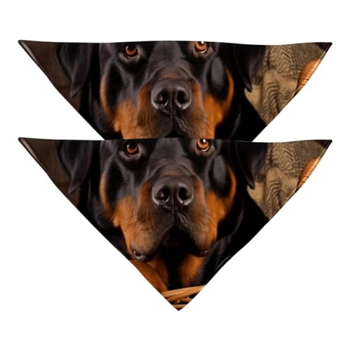 Hundehalstuch, Hochzeitsfoto-Requisite, quadratisches Lätzchen, Haustierzubehör, 2 Stück, Korb und schwarzer Hund, Hundeschal von YZUOUZY