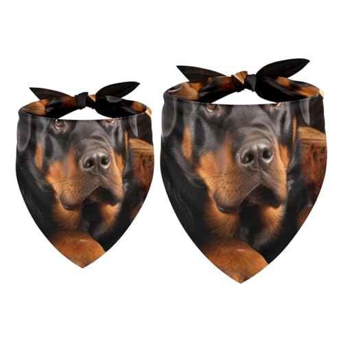 Hundehalstuch, Hochzeitsfoto-Requisite, quadratisches Lätzchen, Haustierzubehör, 2 Stück, Korb und schwarzer Hund, Hundeschal Hundehalstuch, Hochzeitsfoto-Requisite, quadratisches Lätzchen, Haustierzubehör, 2 Stück, Korb und schwarzer Hund, Hundeschal von YZUOUZY