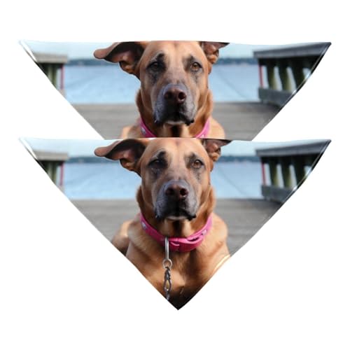 Hundehalstuch, Hochzeitsfoto-Requisite, quadratisches Lätzchen, Haustierzubehör, 2 Stück, herbstbrauner Hundeball, Hundeschal Hundehalstuch, Hochzeitsfoto-Requisite, quadratisches Lätzchen, Haustierzubehör, 2 Stück, herbstbrauner Hundeball, Hundeschal von YZUOUZY