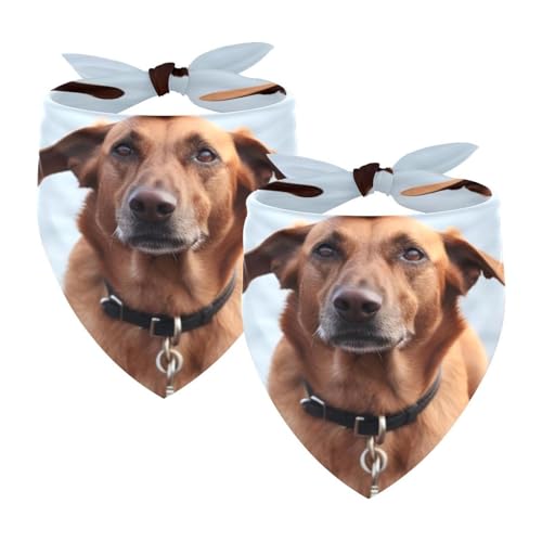Hundehalstuch, Hochzeitsfoto-Requisite, quadratisches Lätzchen, Haustierzubehör, 2 Stück, herbstbrauner Hundeball, Hundeschal Hundehalstuch, Hochzeitsfoto-Requisite, quadratisches Lätzchen, Haustierzubehör, 2 Stück, herbstbrauner Hundeball, Hundeschal von YZUOUZY