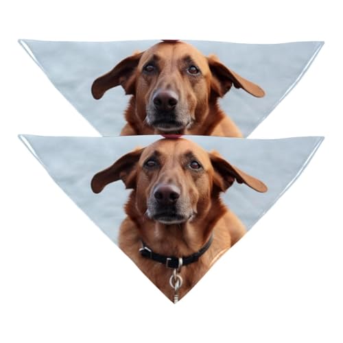 Hundehalstuch, Hochzeitsfoto-Requisite, quadratisches Lätzchen, Haustierzubehör, 2 Stück, herbstbrauner Hundeball, Hundeschal von YZUOUZY