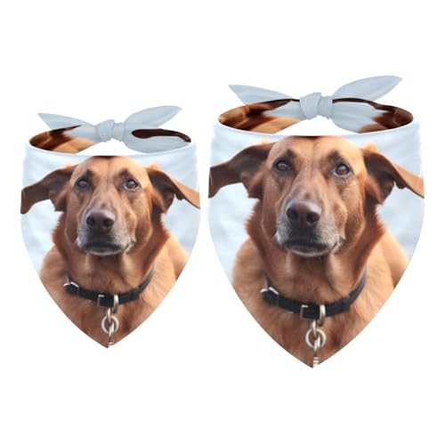 Hundehalstuch, Hochzeitsfoto-Requisite, quadratisches Lätzchen, Haustierzubehör, 2 Stück, herbstbrauner Hundeball, Hundeschal Hundehalstuch, Hochzeitsfoto-Requisite, quadratisches Lätzchen, Haustierzubehör, 2 Stück, herbstbrauner Hundeball, Hundeschal von YZUOUZY