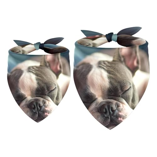 Hundehalstuch, Zubehör für kleine, mittelgroße und große Haustiere, Hunde, Katzen, 2 Stück, Bulldogge, Welpen, Hundeschal Hundehalstuch, Zubehör für kleine, mittelgroße und große Haustiere, Hunde, Katzen, 2 Stück, Bulldogge, Welpen, Hundeschal von YZUOUZY
