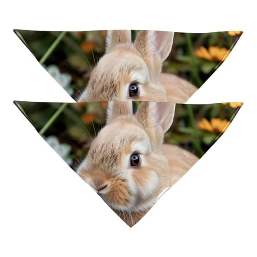 Hundehalstuch, Zubehör für kleine, mittelgroße und große Haustiere, Hunde, Katzen, 2 Stück, Hase, Kaninchen, Blumen, Gänseblümchen, Hundeschal Hundehalstuch, Zubehör für kleine, mittelgroße und große Haustiere, Hunde, Katzen, 2 Stück, Hase, Kaninchen, Blumen, Gänseblümchen, Hundeschal von YZUOUZY
