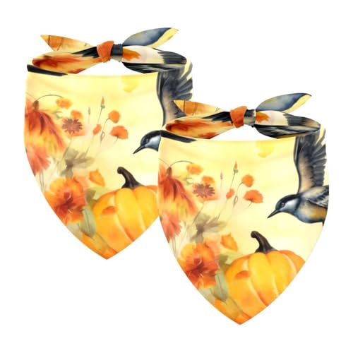 Hundehalstuch, Zubehör für kleine, mittelgroße und große Haustiere, Hunde, Katzen, 2 Stück, Vögel, Herbstblumen, Kürbisse, Hundeschal Hundehalstuch, Zubehör für kleine, mittelgroße und große Haustiere, Hunde, Katzen, 2 Stück, Vögel, Herbstblumen, Kürbisse, Hundeschal von YZUOUZY