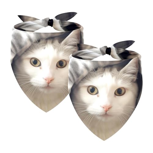 Hundehalstuch, Zubehör für kleine, mittelgroße und große Haustiere, Hunde und Katzen, 2 Stück, Decke und Katze, Hundeschal Hundehalstuch, Zubehör für kleine, mittelgroße und große Haustiere, Hunde und Katzen, 2 Stück, Decke und Katze, Hundeschal von YZUOUZY