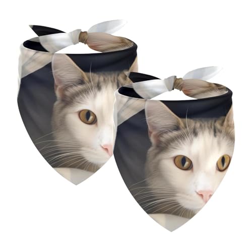 Hundehalstuch, Zubehör für kleine, mittelgroße und große Haustiere, Hunde und Katzen, 2 Stück, Decke und Katze, Hundeschal Hundehalstuch, Zubehör für kleine, mittelgroße und große Haustiere, Hunde und Katzen, 2 Stück, Decke und Katze, Hundeschal von YZUOUZY