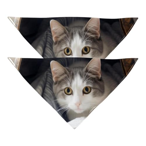Hundehalstuch, Zubehör für kleine, mittelgroße und große Haustiere, Hunde und Katzen, 2 Stück, Decke und Katze, Hundeschal Hundehalstuch, Zubehör für kleine, mittelgroße und große Haustiere, Hunde und Katzen, 2 Stück, Decke und Katze, Hundeschal von YZUOUZY