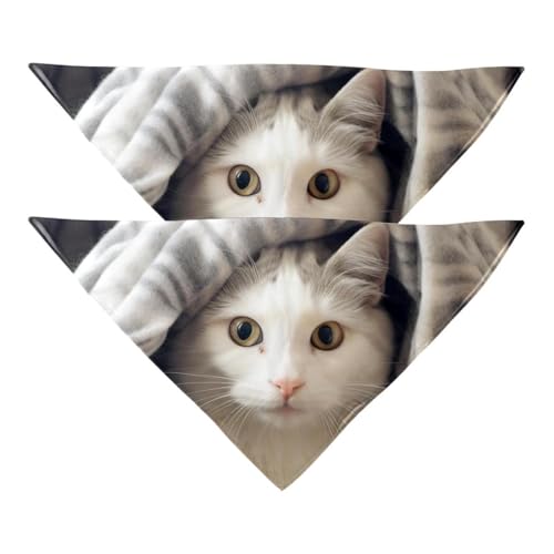 Hundehalstuch, Zubehör für kleine, mittelgroße und große Haustiere, Hunde und Katzen, 2 Stück, Decke und Katze, Hundeschal Hundehalstuch, Zubehör für kleine, mittelgroße und große Haustiere, Hunde und Katzen, 2 Stück, Decke und Katze, Hundeschal von YZUOUZY