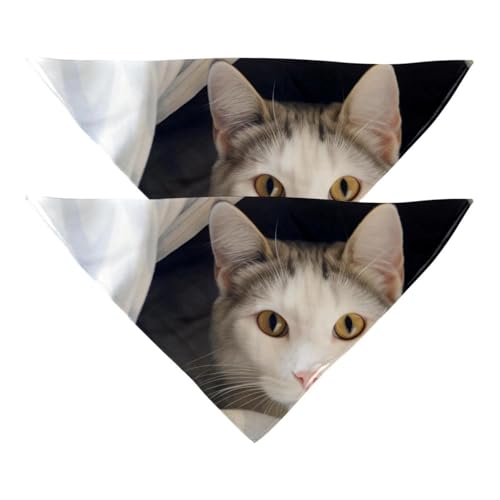 Hundehalstuch, Zubehör für kleine, mittelgroße und große Haustiere, Hunde und Katzen, 2 Stück, Decke und Katze, Hundeschal Hundehalstuch, Zubehör für kleine, mittelgroße und große Haustiere, Hunde und Katzen, 2 Stück, Decke und Katze, Hundeschal von YZUOUZY