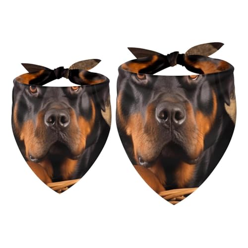 Hundehalstuch, Zubehör für kleine, mittelgroße und große Haustiere, Hunde und Katzen, 2 Stück, Korb und schwarze Hunde, Hundeschal Hundehalstuch, Zubehör für kleine, mittelgroße und große Haustiere, Hunde und Katzen, 2 Stück, Korb und schwarze Hunde, Hundeschal von YZUOUZY
