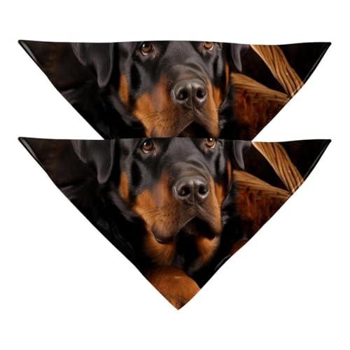 Hundehalstuch, Zubehör für kleine, mittelgroße und große Haustiere, Hunde und Katzen, 2 Stück, Korb und schwarze Hunde, Hundeschal Hundehalstuch, Zubehör für kleine, mittelgroße und große Haustiere, Hunde und Katzen, 2 Stück, Korb und schwarze Hunde, Hundeschal von YZUOUZY
