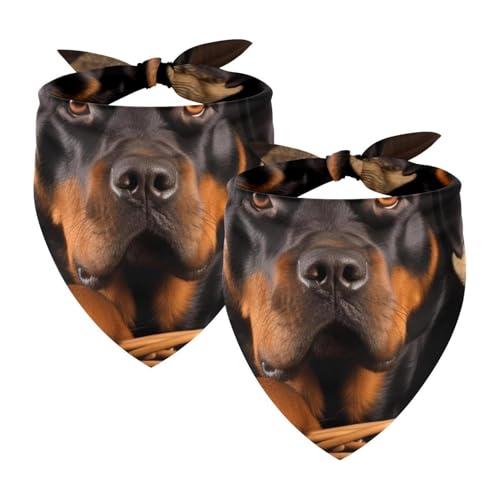 Hundehalstuch, Zubehör für kleine, mittelgroße und große Haustiere, Hunde und Katzen, 2 Stück, Korb und schwarze Hunde, Hundeschal Hundehalstuch, Zubehör für kleine, mittelgroße und große Haustiere, Hunde und Katzen, 2 Stück, Korb und schwarze Hunde, Hundeschal von YZUOUZY
