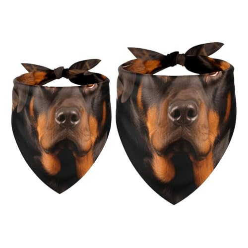 Hundehalstuch, Zubehör für kleine, mittelgroße und große Haustiere, Hunde und Katzen, 2 Stück, Korb und schwarze Hunde, Hundeschal Hundehalstuch, Zubehör für kleine, mittelgroße und große Haustiere, Hunde und Katzen, 2 Stück, Korb und schwarze Hunde, Hundeschal von YZUOUZY