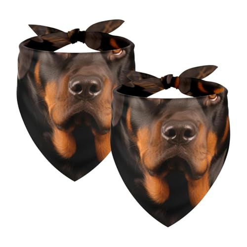 Hundehalstuch, Zubehör für kleine, mittelgroße und große Haustiere, Hunde und Katzen, 2 Stück, Korb und schwarze Hunde, Hundeschal Hundehalstuch, Zubehör für kleine, mittelgroße und große Haustiere, Hunde und Katzen, 2 Stück, Korb und schwarze Hunde, Hundeschal von YZUOUZY
