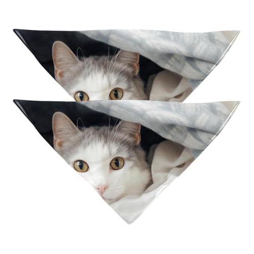 Hundehalstücher, Haustierzubehör für Hundeliebhaber, Haustierhalstuch, 2 Stück, Decke und Katze, Hundeschal Hundehalstücher, Haustierzubehör für Hundeliebhaber, Haustierhalstuch, 2 Stück, Decke und Katze, Hundeschal von YZUOUZY