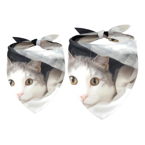 Hundehalstücher, Haustierzubehör für Hundeliebhaber, Haustierhalstuch, 2 Stück, Decke und Katze, Hundeschal Hundehalstücher, Haustierzubehör für Hundeliebhaber, Haustierhalstuch, 2 Stück, Decke und Katze, Hundeschal von YZUOUZY