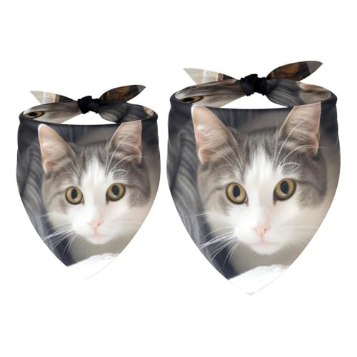 Hundehalstücher, Haustierzubehör für Hundeliebhaber, Haustierhalstuch, 2 Stück, Decke und Katze, Hundeschal Hundehalstücher, Haustierzubehör für Hundeliebhaber, Haustierhalstuch, 2 Stück, Decke und Katze, Hundeschal von YZUOUZY