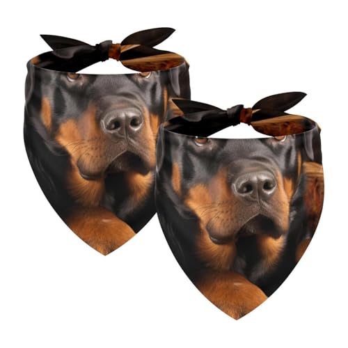 Hundehalstücher, Haustierzubehör für Hundeliebhaber, Haustierhalstuch, 2 Stück, Korb und schwarzer Hund, Hundeschal Hundehalstücher, Haustierzubehör für Hundeliebhaber, Haustierhalstuch, 2 Stück, Korb und schwarzer Hund, Hundeschal von YZUOUZY