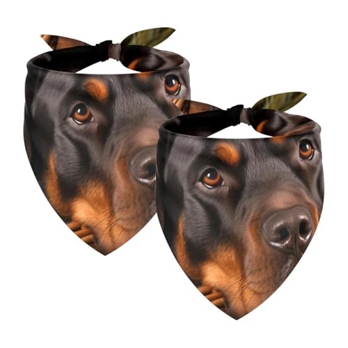 Hundehalstücher, Haustierzubehör für Hundeliebhaber, Haustierhalstuch, 2 Stück, Korb und schwarzer Hund, Hundeschal Hundehalstücher, Haustierzubehör für Hundeliebhaber, Haustierhalstuch, 2 Stück, Korb und schwarzer Hund, Hundeschal von YZUOUZY