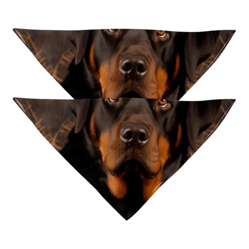 Hundehalstücher, Haustierzubehör für Hundeliebhaber, Haustierhalstuch, 2 Stück, Korb und schwarzer Hund, Hundeschal Hundehalstücher, Haustierzubehör für Hundeliebhaber, Haustierhalstuch, 2 Stück, Korb und schwarzer Hund, Hundeschal von YZUOUZY