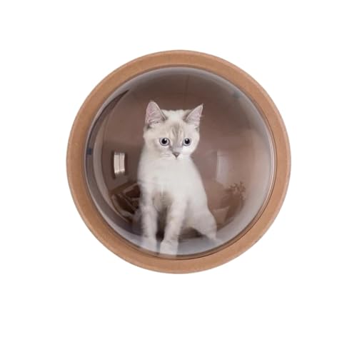 Transparentes Acryl-Hundezaunfenster 32cm Transparent Katze Nest DIY for Zaun Pet Look Out Durable Dome Acryl Blatt GlassHemisphärischen Fenster Geschenk(2pc-Black washers) von YZWHKJ