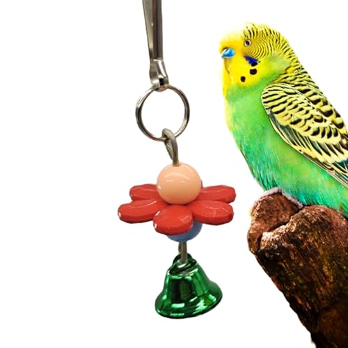 Yabauuop Papageienspielzeug aus Acryl, Vogelkäfigspielzeug | Bissfestes Vogelspielzeug für Käfig,Dekoratives Papageienspielzeug, Vogelkauspielzeug, Spielzeug mit Glocke zum Erkunden, Entspannen, Yabauuop Papageienspielzeug aus Acryl, Vogelkäfigspielzeug | Bissfestes Vogelspielzeug für Käfig,Dekoratives Papageienspielzeug, Vogelkauspielzeug, Spielzeug mit Glocke zum Erkunden, Entspannen, von Yabauuop