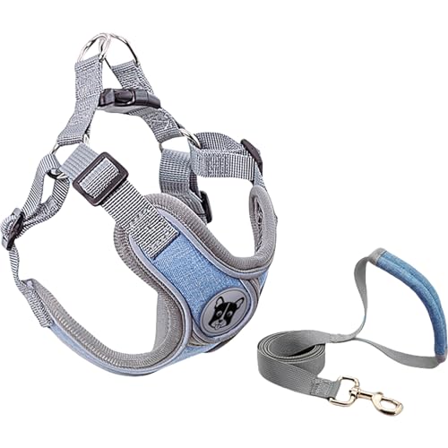 Yagerod Dog Harness, No Pull Dog Harness, Stylish and Safe Pet Harness with Leash for Small Dogs（with 1.5m Special Traction Rope (Blue (with 1.5m Special Traction Rope), L) von Yagerod