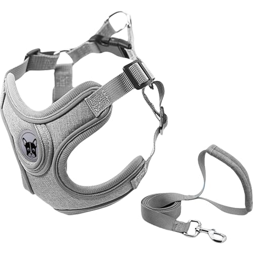 Yagerod Dog Harness, No Pull Dog Harness, Stylish and Safe Pet Harness with Leash for Small Dogs（with 1.5m Special Traction Rope (Gray (with 1.5m Special Traction Rope), S) von Yagerod