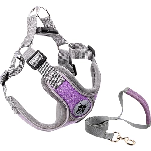 Yagerod Dog Harness, No Pull Dog Harness, Stylish and Safe Pet Harness with Leash for Small Dogs（with 1.5m Special Traction Rope (Purple (with 1.5m Special Traction Rope), L) von Yagerod