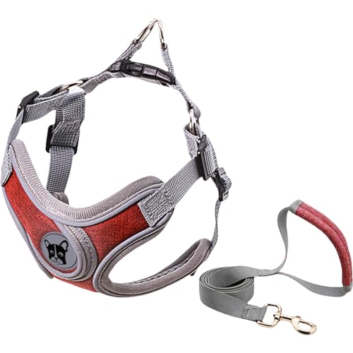 Yagerod Dog Harness, No Pull Dog Harness, Stylish and Safe Pet Harness with Leash for Small Dogs（with 1.5m Special Traction Rope (Red (with 1.5m Special Traction Rope), L) von Yagerod