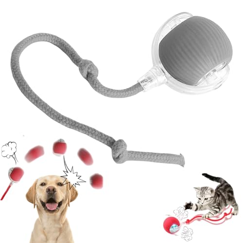 Yagerod Magie-Ball Für Hunde, Interactive Play Ball for Dogs, Füll Die Stunden Ohne Dich Mit Spaß Und Action(Grau – Standard) von Yagerod