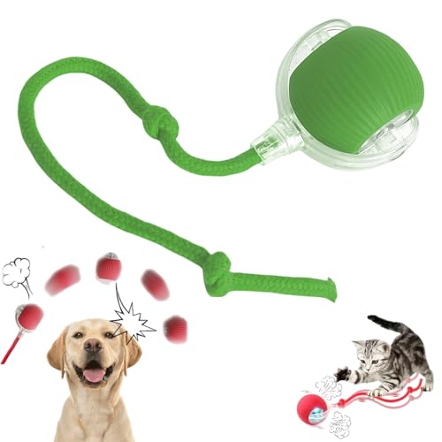 Yagerod Magie-Ball Für Hunde, Interactive Play Ball for Dogs, Füll Die Stunden Ohne Dich Mit Spaß Und Action(Grün – Standard) von Yagerod
