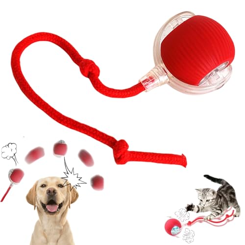 Yagerod Magie-Ball Für Hunde, Interactive Play Ball for Dogs, Füll Die Stunden Ohne Dich Mit Spaß Und Action(Rot – Lange Akkulaufzeit) von Yagerod